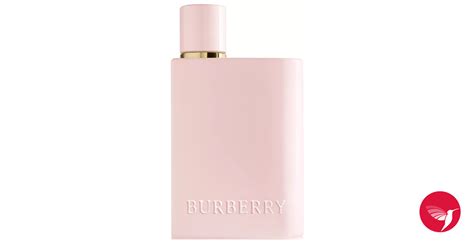 burberry her 2022|Burberry Her elixir perfume.